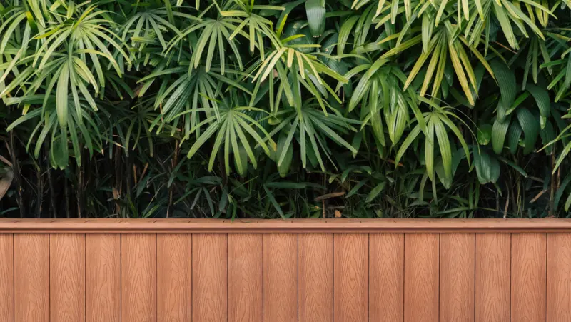 Lush green tropical plants with long leaves above a vertical wooden fence.